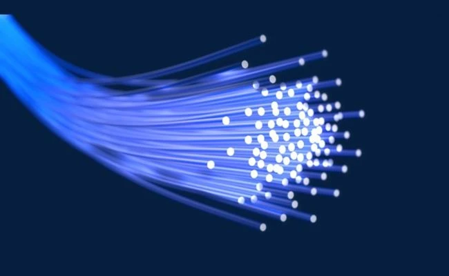 Fiber Fiber
