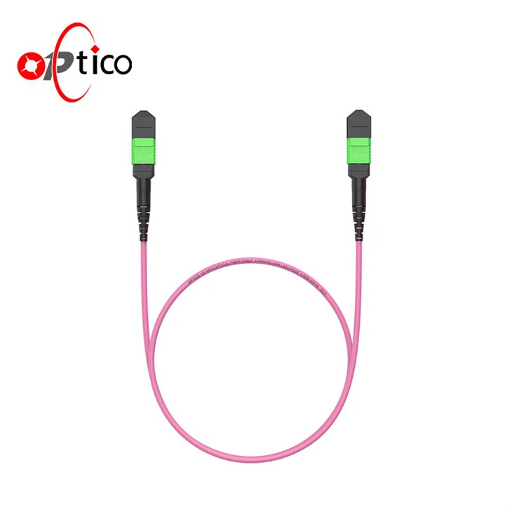 400g 800g 12F MTP APC MM Fiber Patch Cable Female