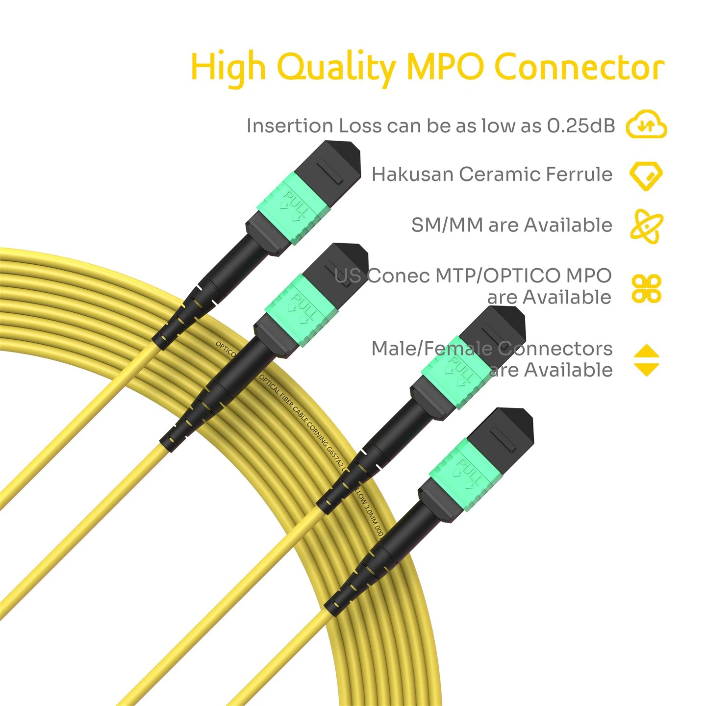 24F MPO Trunk Cable OS2 Female 2×12